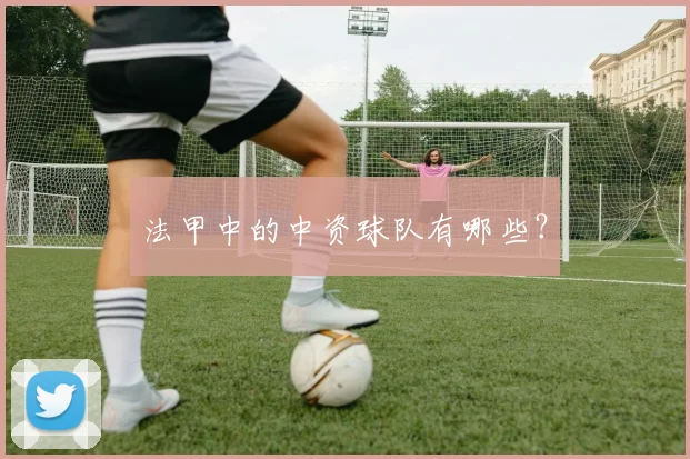 法甲中的中资球队有哪些？