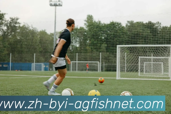 AG捕鱼王官网平台生态图