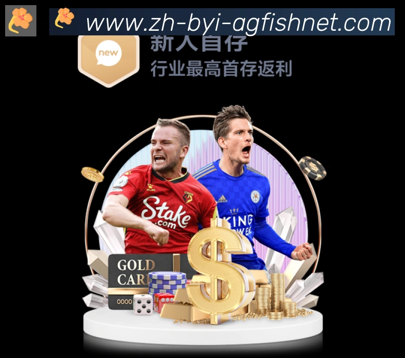 奖项4