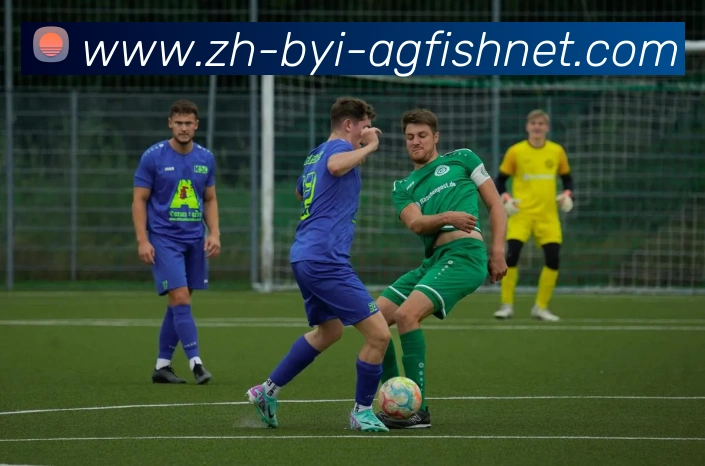 AG捕鱼王官网全站App